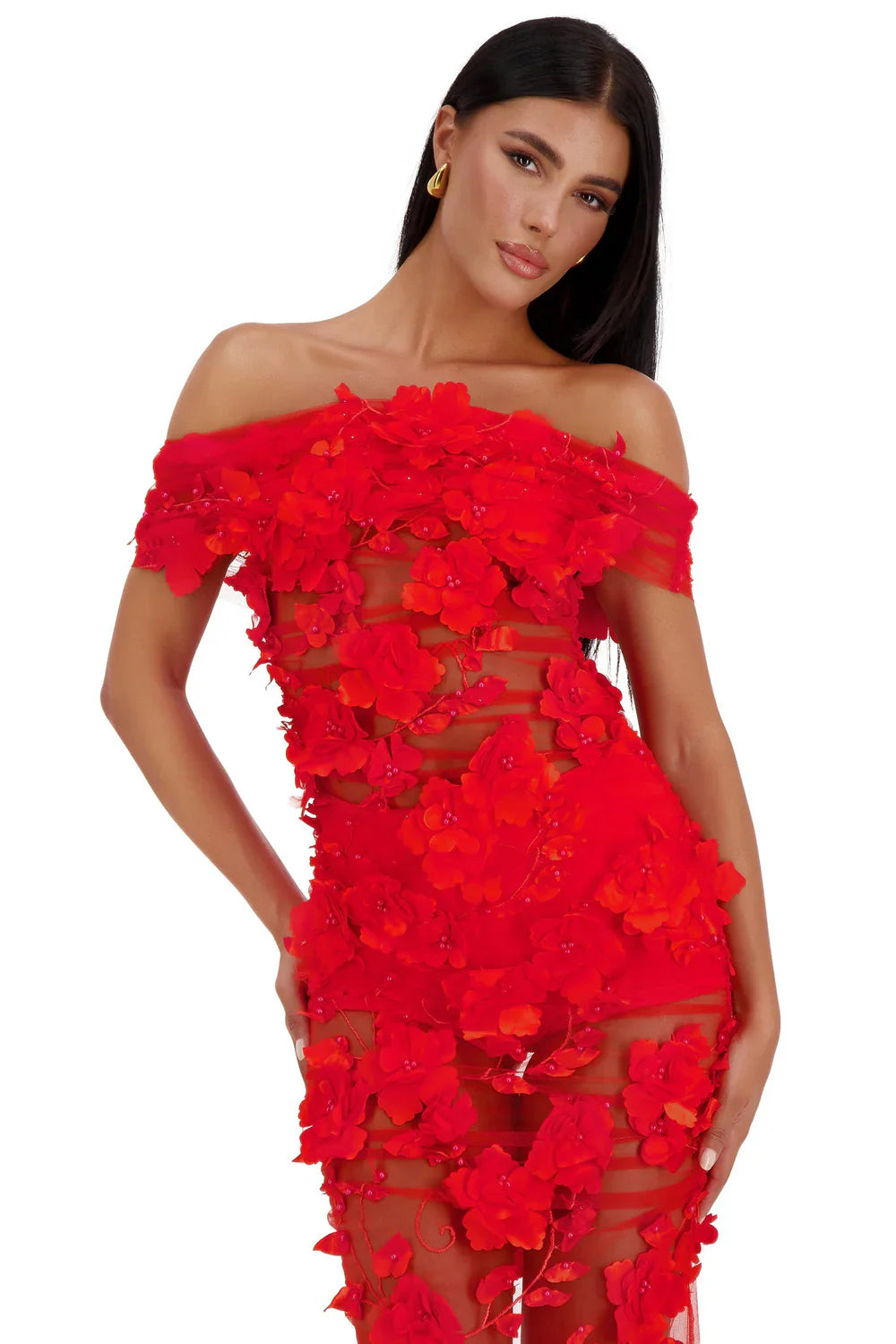 Alamour The Label Florentina Floral 3D Red Roses Dress Dress