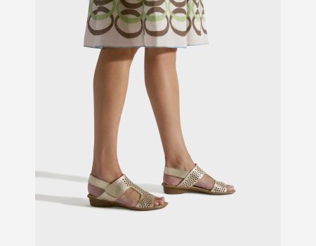Marmi Shoes Sesto Meucci Elicia - Platino Cinzano