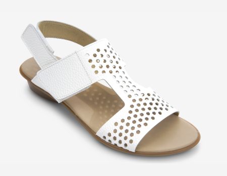 Marmi Shoes Sesto Meucci Elicia - White Saratoga