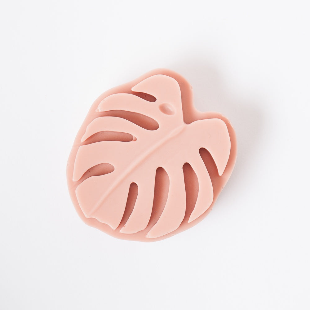 Bramble Berry 4 Cavity Monstera Silicone Mold (x2)