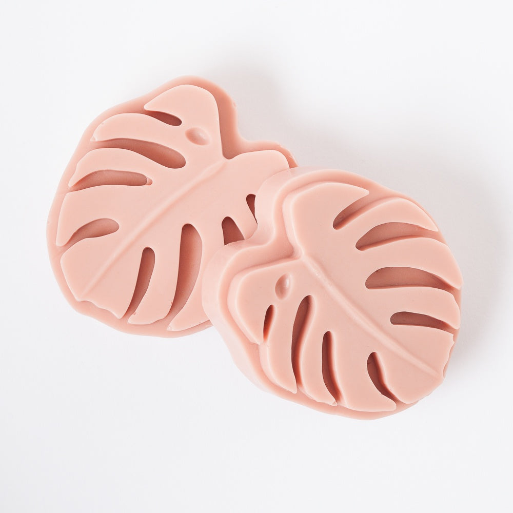 Bramble Berry 4 Cavity Monstera Silicone Mold (x2)