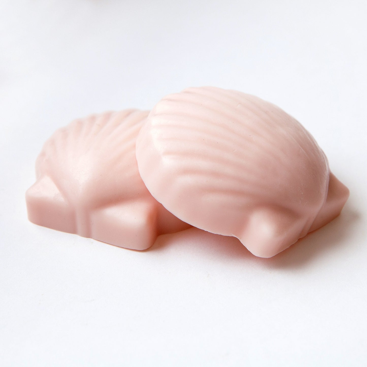 Bramble Berry 4 Cavity Shell Silicone Mold (x3)