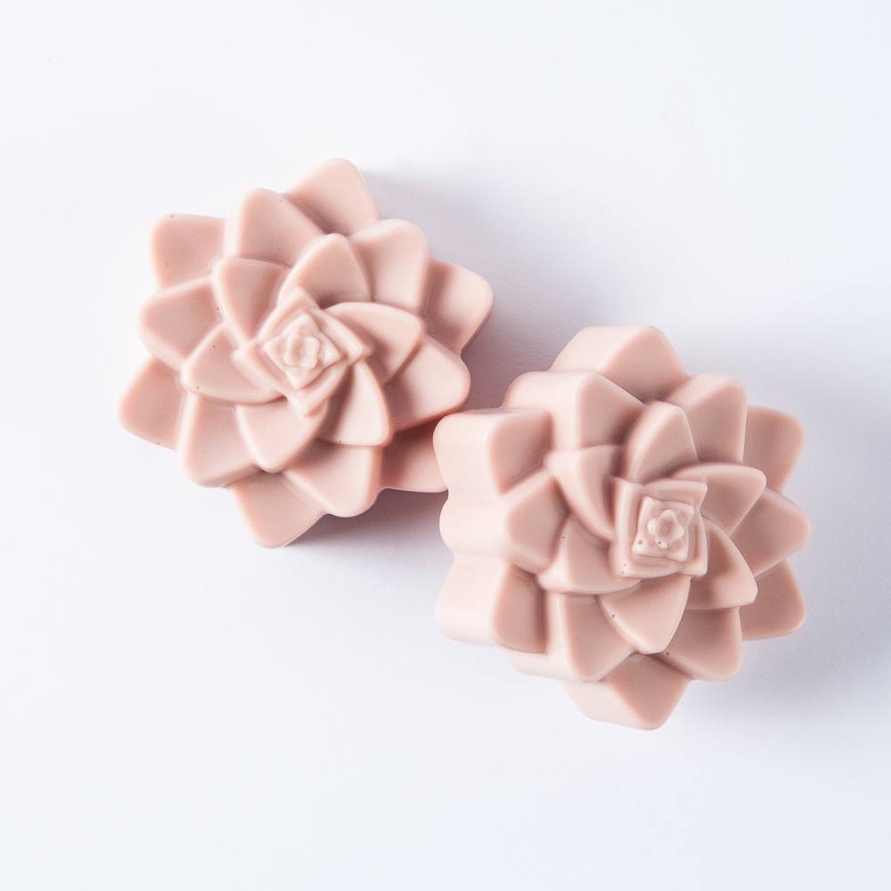Bramble Berry 4 Cavity Succulent Silicone Mold (x2)