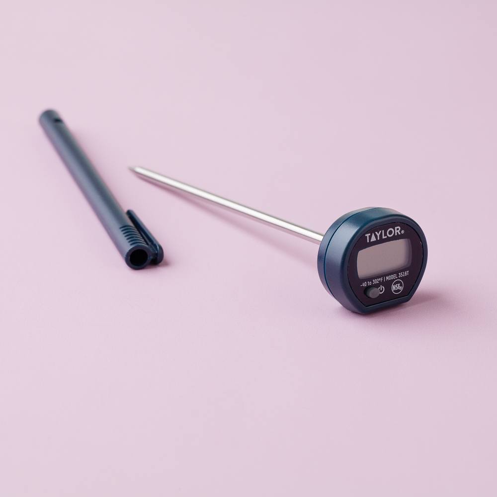Bramble Berry Digital Thermometer (x2)