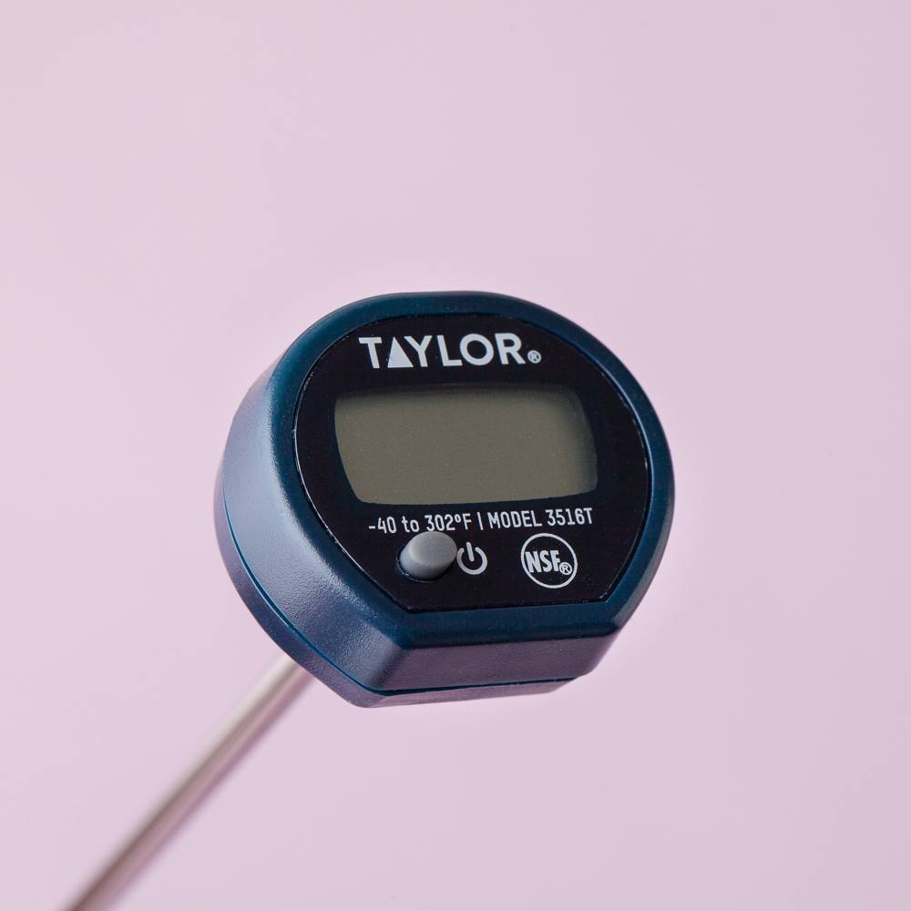 Bramble Berry Digital Thermometer (x2)