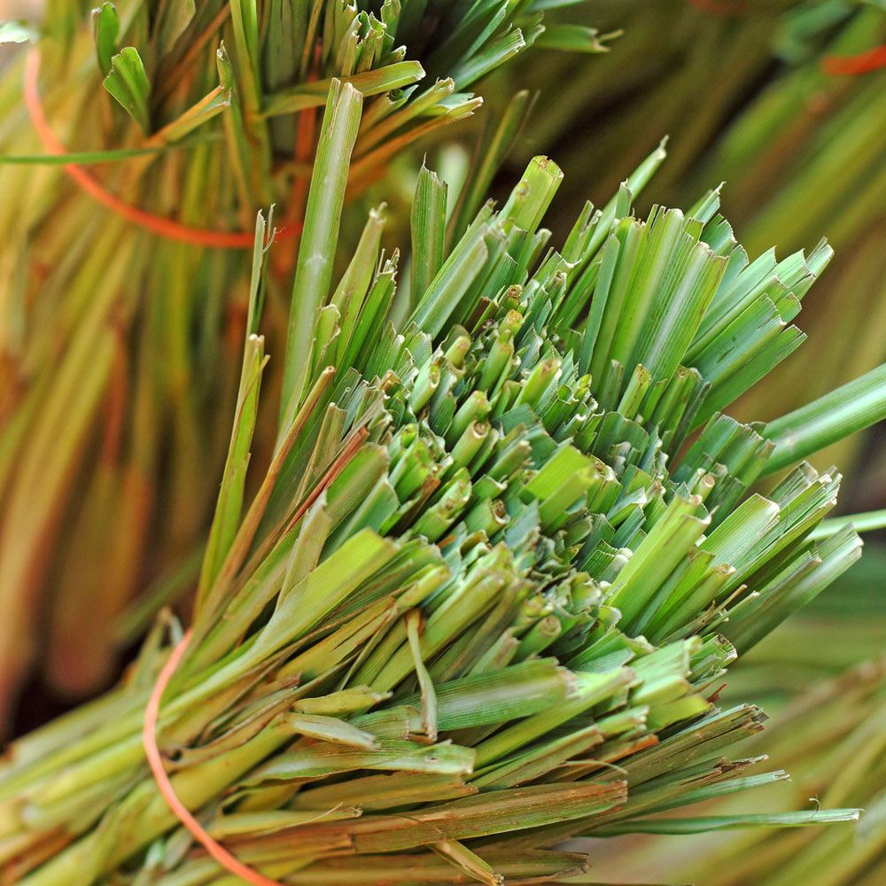 Bramble Berry Lemongrass Essential Oil