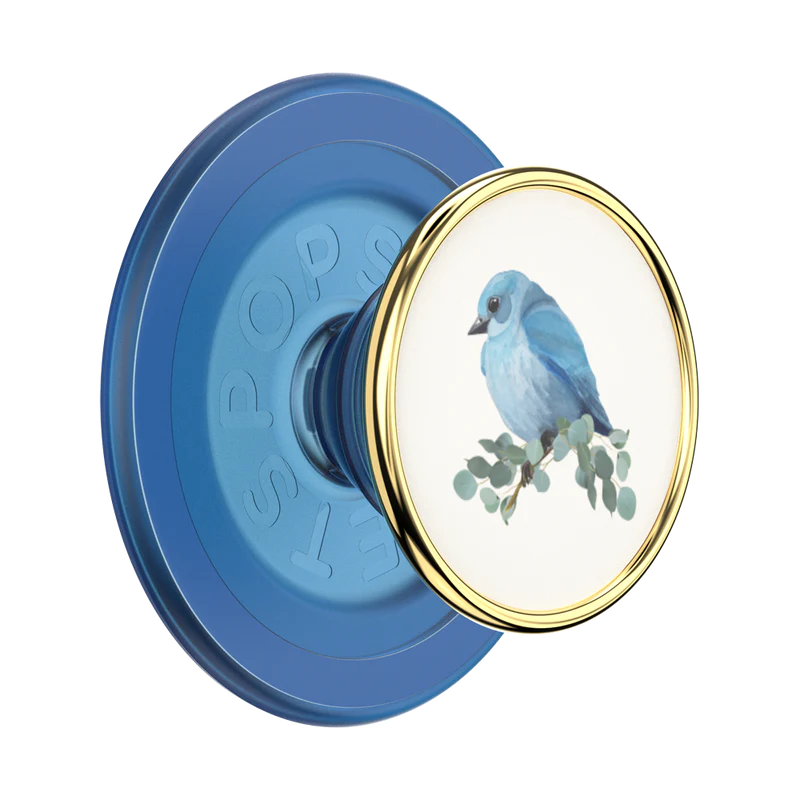 PopSockets MagSafe PopGrip (11)