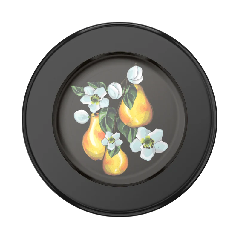 PopSockets MagSafe PopGrip (13)