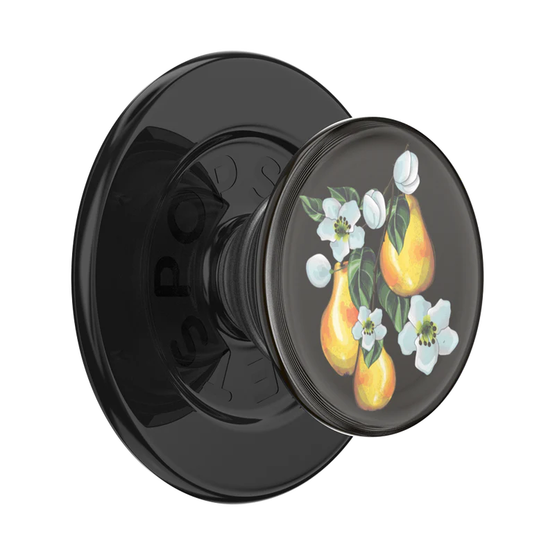 PopSockets MagSafe PopGrip (13)