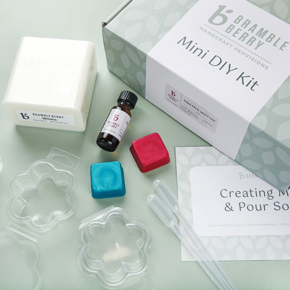 Bramble Berry Mini Melt and Pour Soap Kit (x2)