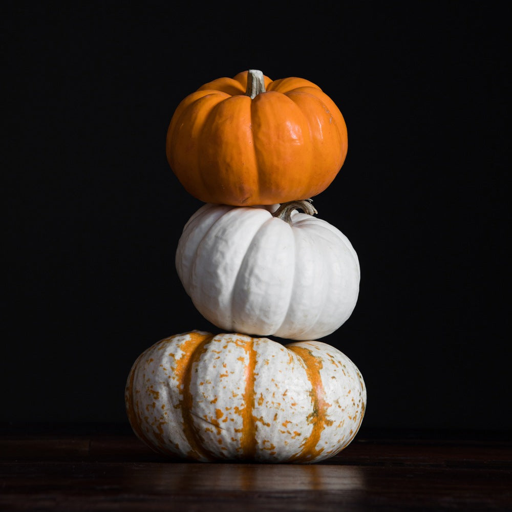 Bramble Berry Pumpkin Sandalwood Fragrance Oil