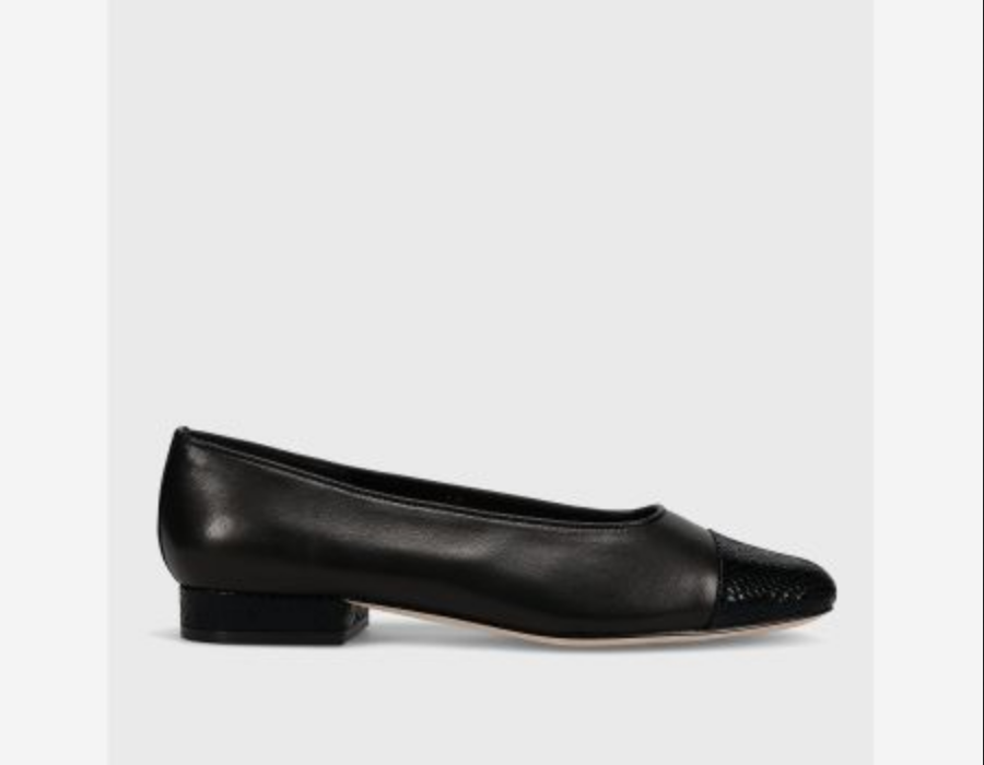 Marmi Shoes Vaneli Fc-313 - Black Nappa/Black Snake Print