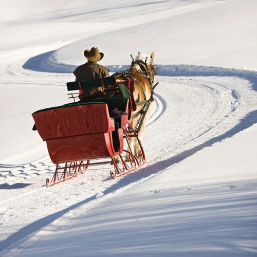 Bramble Berry Sleigh Ride Fragrance Oil