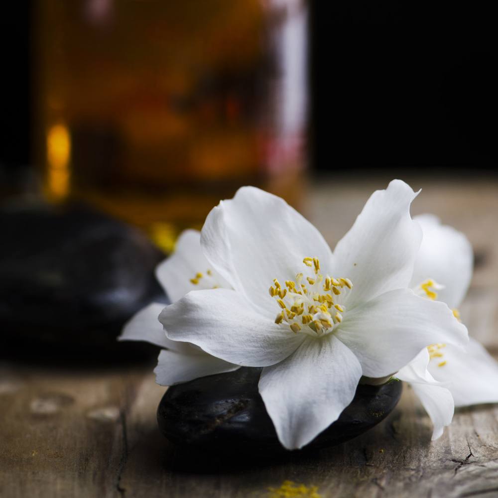 Bramble Berry Sultry Black Jasmine Fragrance Oil