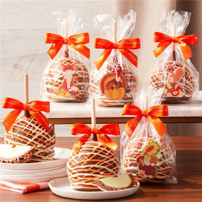 Mrs Prindables Harvest Friends Caramel Apple Gift Set of 6