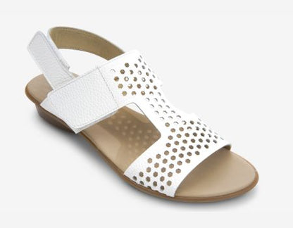 Marmi Shoes Sesto Meucci Elicia - White Saratoga