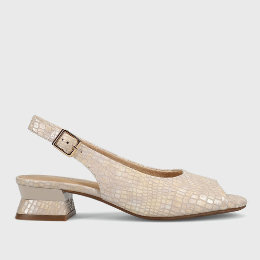 Marmi Shoes Vaneli Matyra - Champagne Boro Print