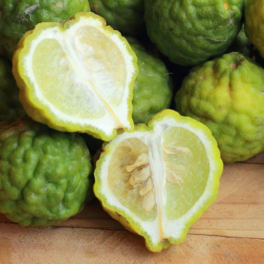 Bramble Berry Bergamot Pure Essential Oil