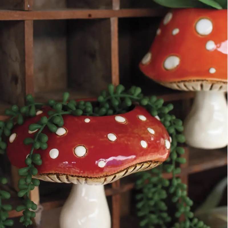 Wind and Weather Ceramic Toadstool Wall Planters, Set of 2