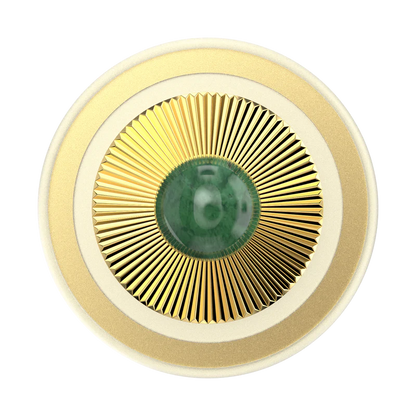 PopSockets MagSafe PopGrip (12)