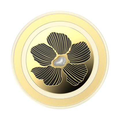 PopSockets MagSafe PopGrip (13)