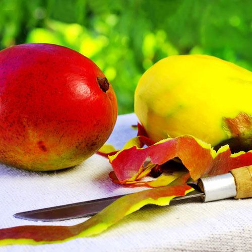 Bramble Berry Mango Mango Fragrance Oil