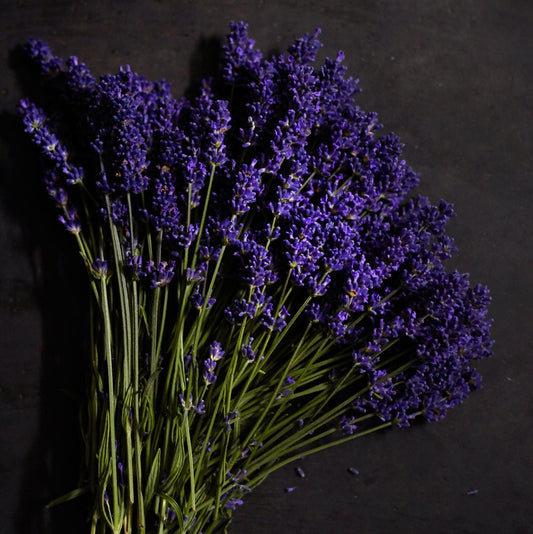 Bramble Berry Black Amber And Lavender Fragrance Oil