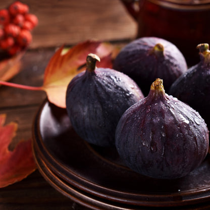 Bramble Berry Autumn Fig Harvest Fragrance Oil