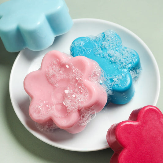 Bramble Berry Mini Melt and Pour Soap Kit (x2)
