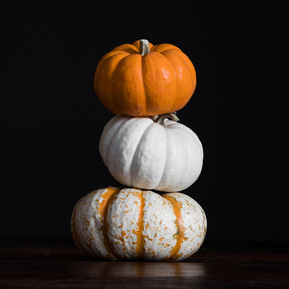 Bramble Berry Pumpkin Sandalwood Fragrance Oil