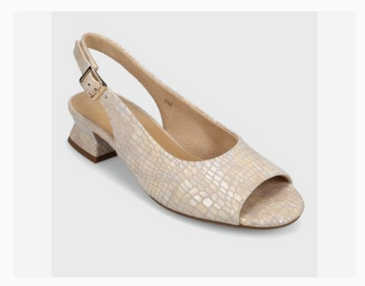 Marmi Shoes Women's Vaneli Matyra - Champagne Boro Print