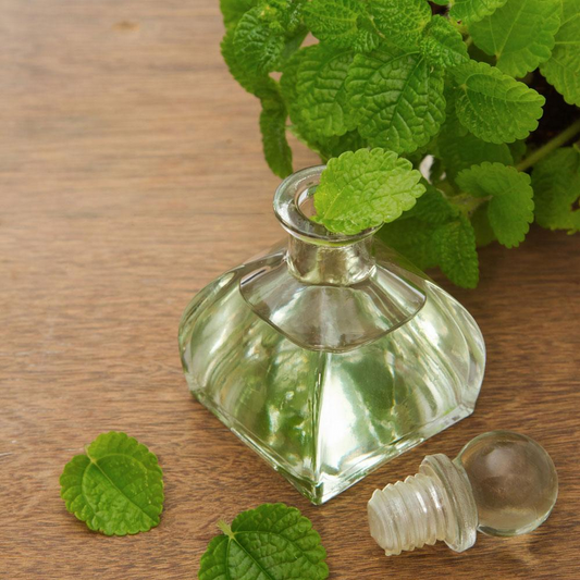 Bramble Berry Peppermint Essential Oil - 1st Distill