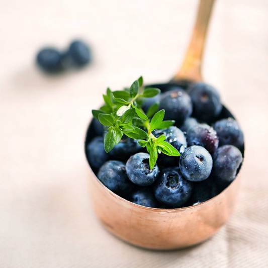Bramble Berry Blueberry Thyme Fragrance Oil