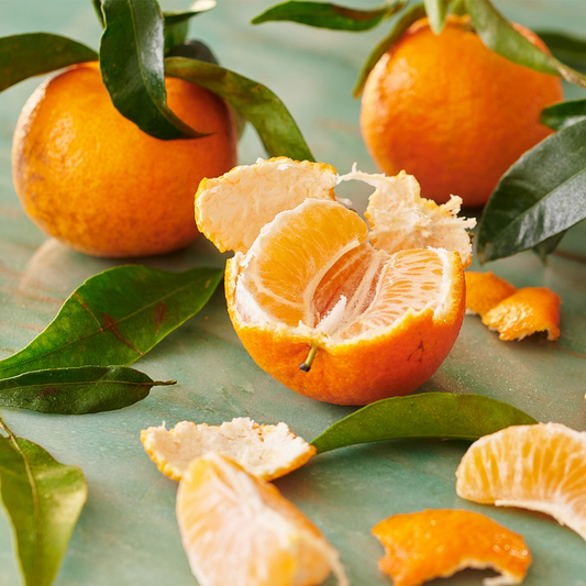Bramble Berry Orange Peel Fragrance Oil