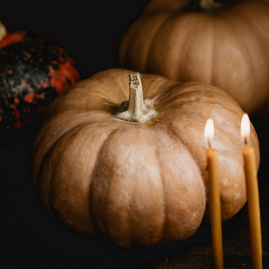 Bramble Berry Golden Pumpkin and Cardamom Fragrance Oil